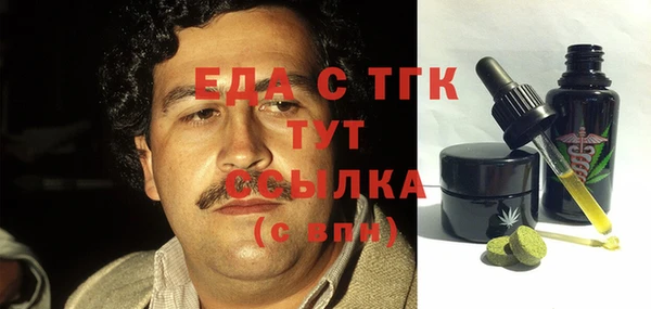 индика Бородино
