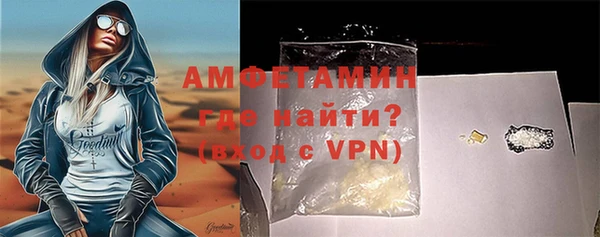 индика Бородино