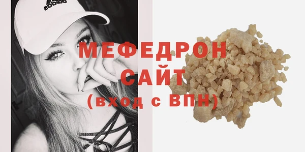 индика Бородино