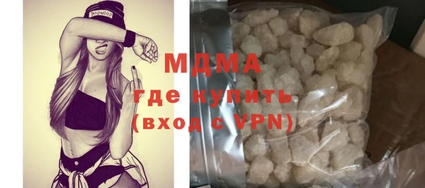 индика Бородино