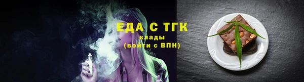 индика Бородино
