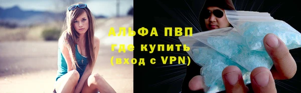 индика Бородино