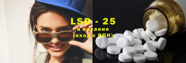 индика Бородино