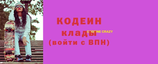 индика Бородино