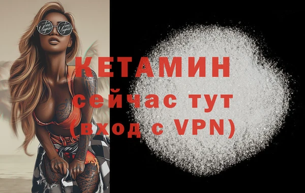 индика Бородино