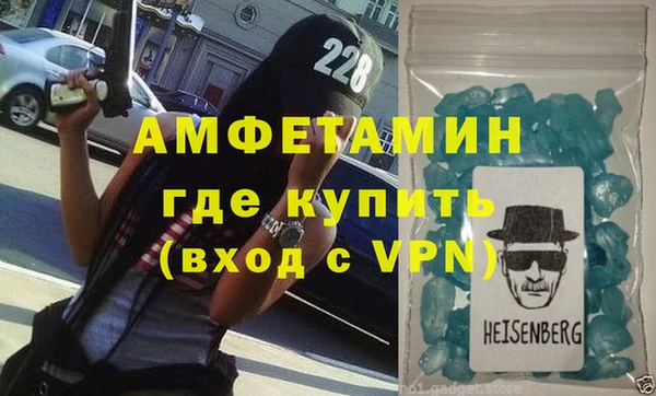 индика Бородино