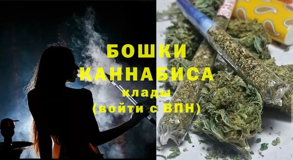 индика Бородино