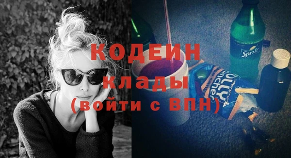 индика Бородино