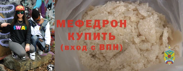 индика Бородино