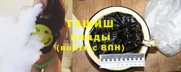 индика Бородино