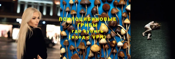 ешки Бугульма