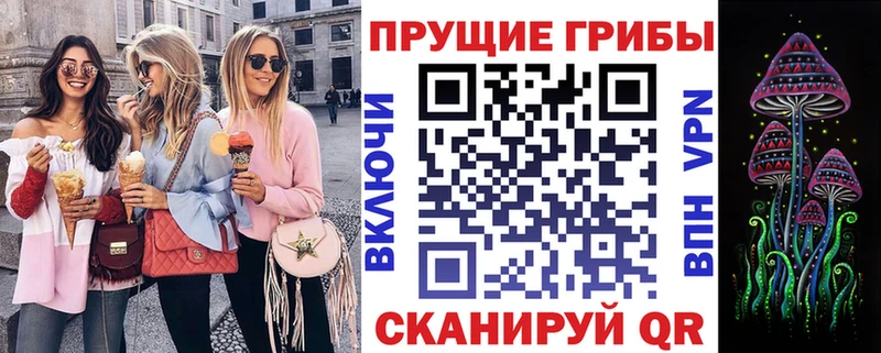 Галлюциногенные грибы Psilocybine cubensis  Купить где  Белокуриха 